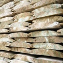 Log Lap Treated Green