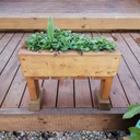 Garden Planters